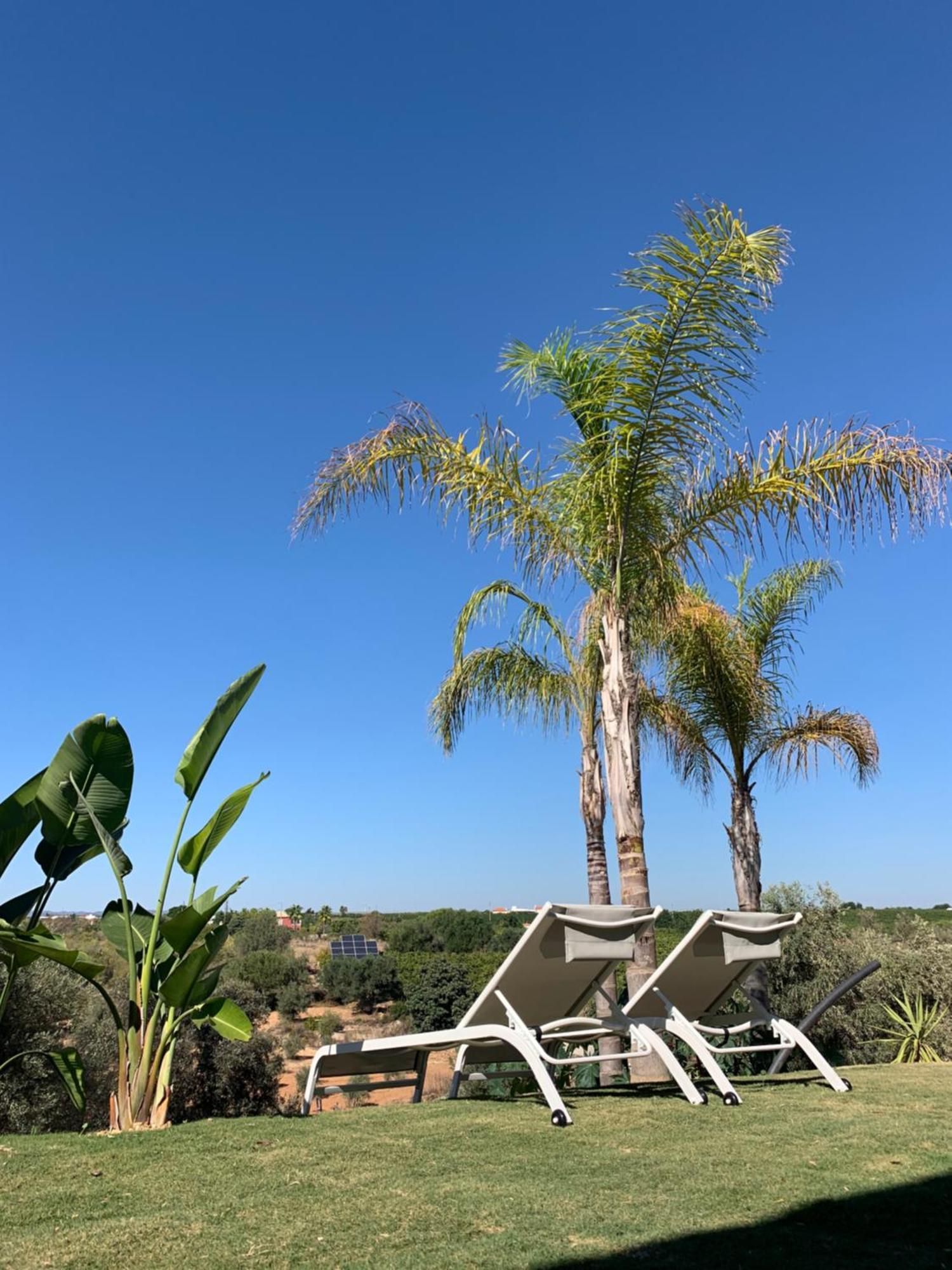 B&B Quinta A Fonte Tavira - Adults Only Dış mekan fotoğraf