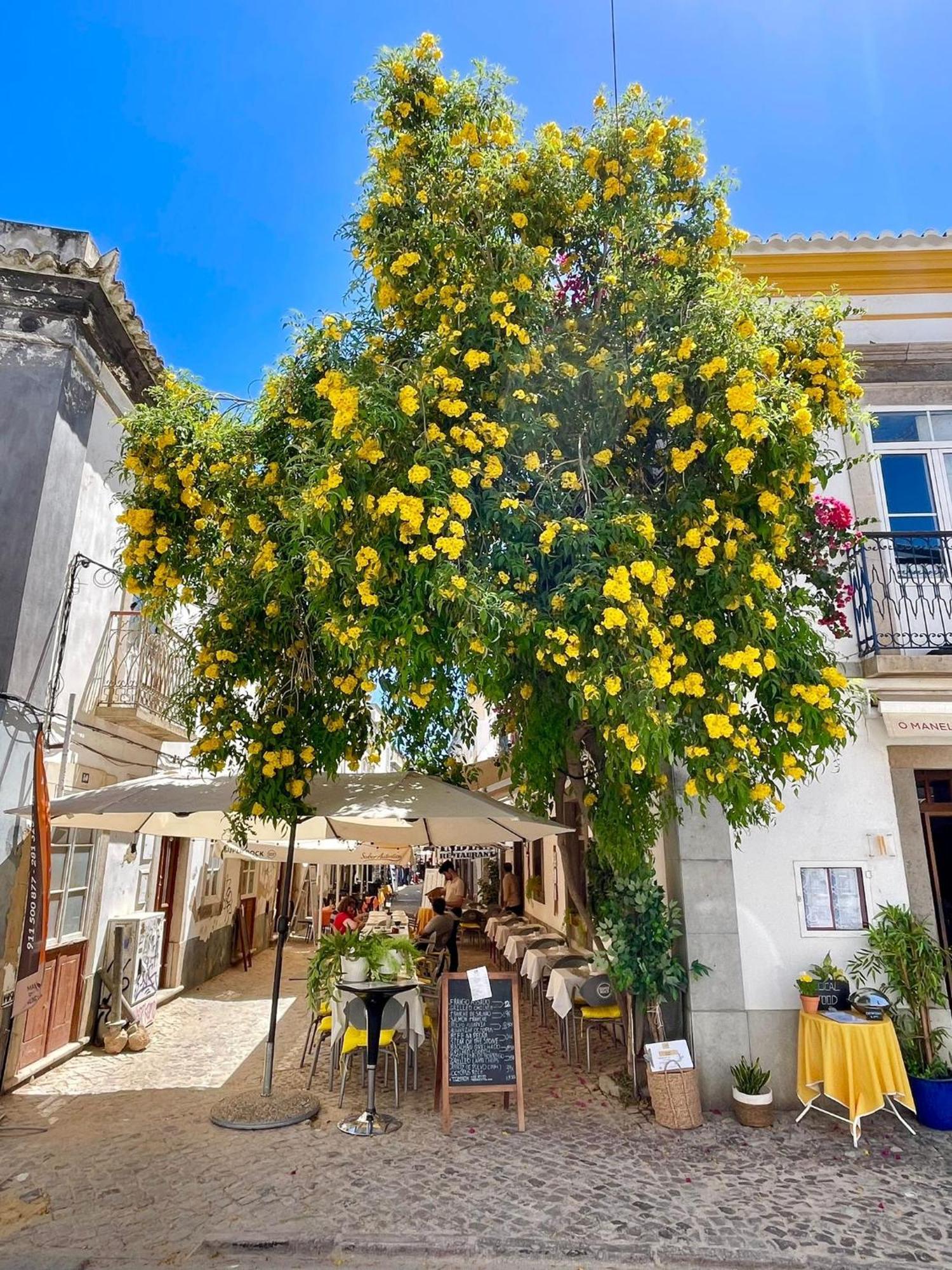 B&B Quinta A Fonte Tavira - Adults Only Dış mekan fotoğraf